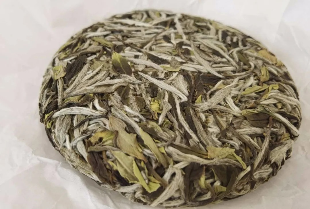 福鼎白茶，一定要選貴的高品級茶嗎？