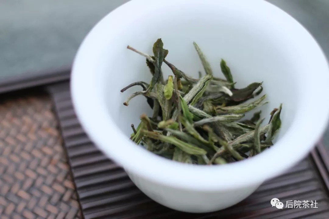 夏天喝什么白茶？也許白牡丹茶是個不錯的選擇