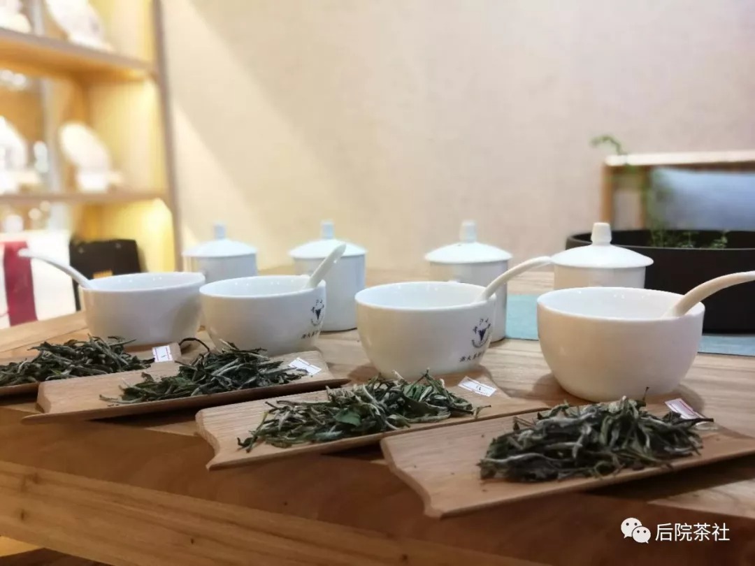 夏天喝什么白茶？也許白牡丹茶是個不錯的選擇