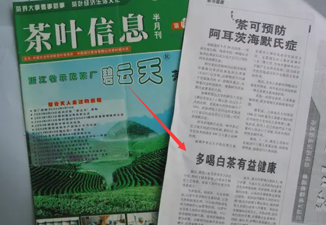 福鼎白茶的功效為什么能增強免疫力