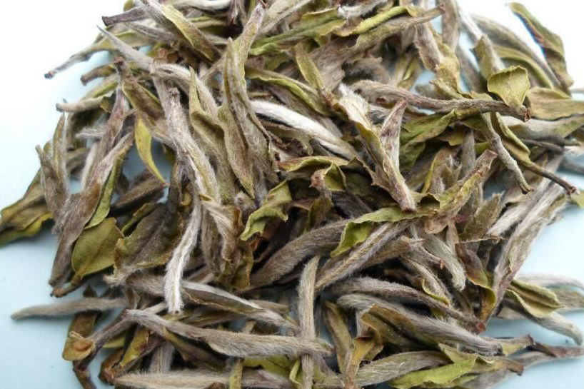 白茶牡丹王的功效與作用