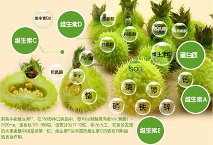 刺梨果的營養成分
