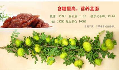 刺梨果的營養成分