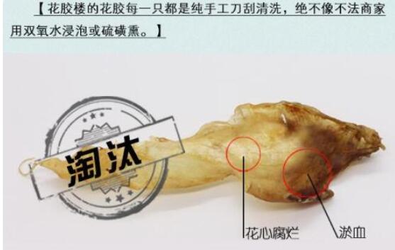 花心魚膠是什么，怎么辨別魚膠花心
