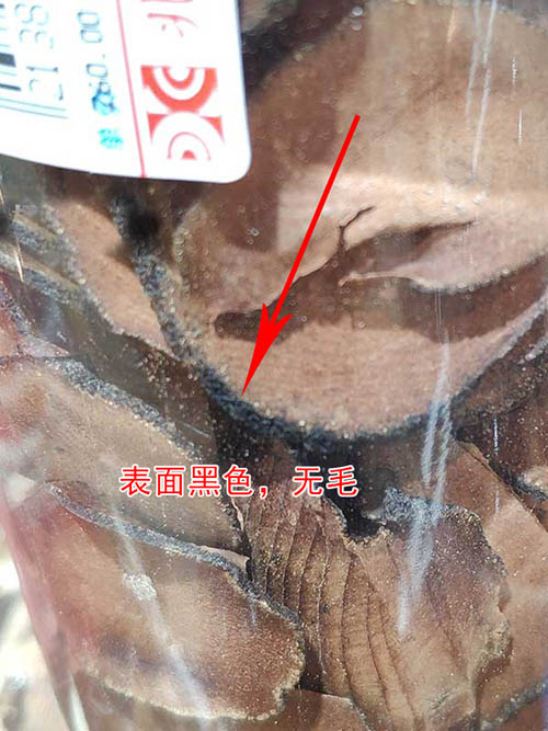 表面無毛橘紅