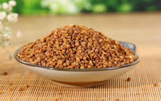 黑苦蕎茶