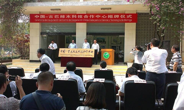 中國古巴辣木科技合作中心掛牌成立