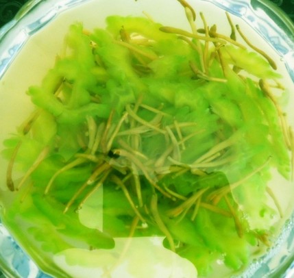 男性疾病的調(diào)理,前列腺炎食療調(diào)理