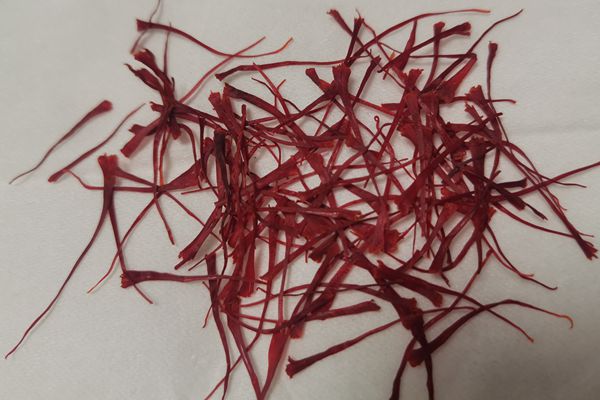 藏紅花泡水喝的功效是什么