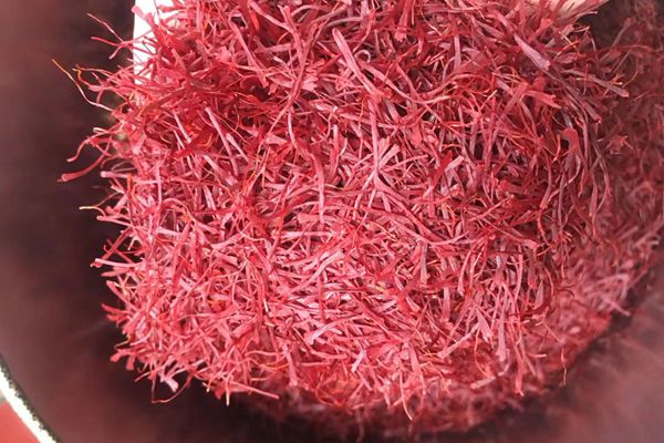 藏紅花能調理月經不調嗎