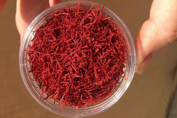 藏紅花能調理月經不調嗎